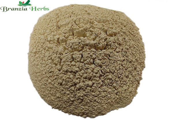 Jivanti Powder – Jeevanti Powder – Leptadenia reticulata - Branzia Herbs
