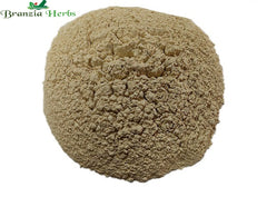 Jivanti Powder – Jeevanti Powder – Leptadenia reticulata - Branzia Herbs