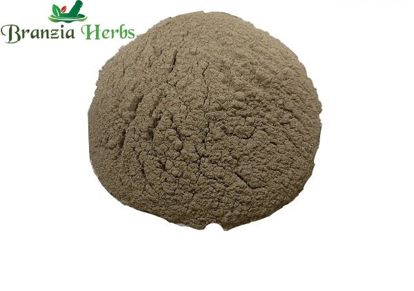 Kantakari/Bhorigni Powder – Indian nightshade - Branzia Herbs