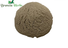 Kantakari/Bhorigni Powder – Indian nightshade - Branzia Herbs