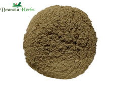Majufal Powder – Maya Powder – Oak Gall – Quercus infectoria - Branzia Herbs