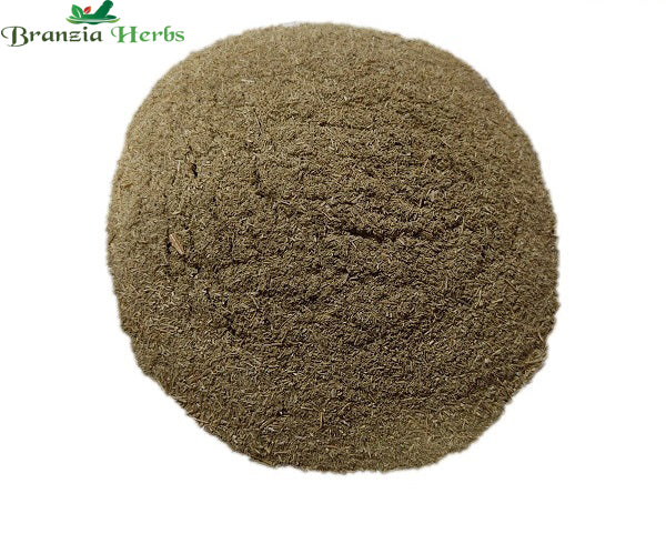 "Patol Patra Powder – Pointed Gourd – Trichosanthes dioica " - Branzia Herbs