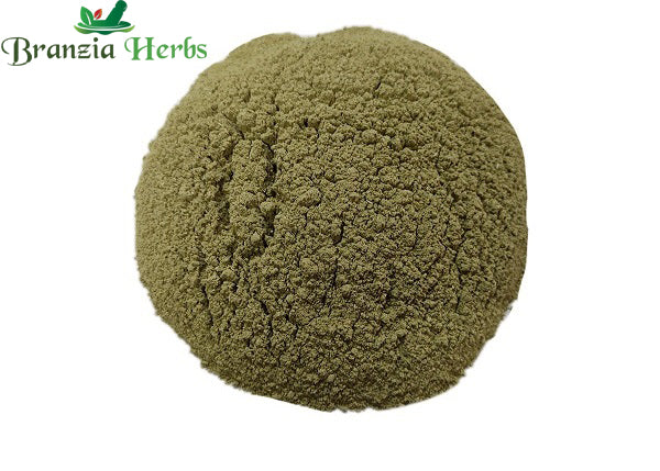 "Pittapapada Powder – Pitpapado – Suksmapatra Powder – Fumaria indica " - Branzia Herbs