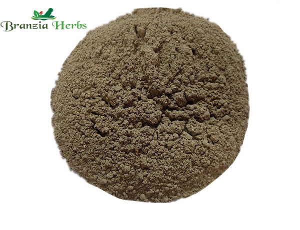 "Punarnava Powder – Boerhavia diffusa " - Branzia Herbs