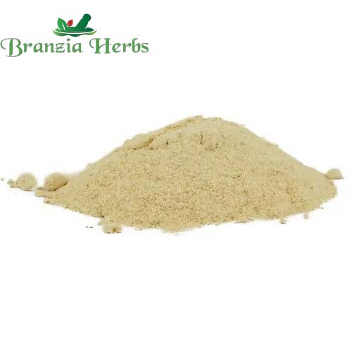 "Shatavari Powder - Sitawar - Satawar - Asparagus racemosus " - Branzia Herbs