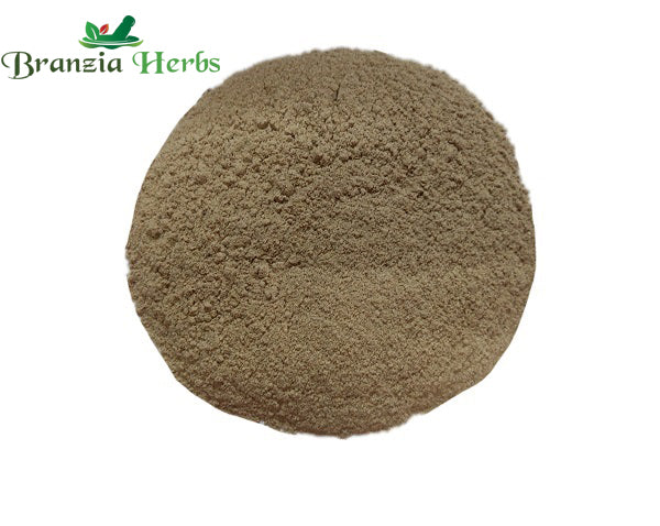 Sargava Bark/Chal Powder – Moringa Powder - Branzia Herbs
