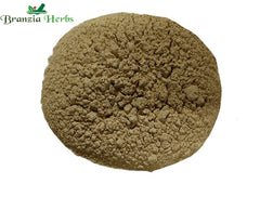 Sarpagandha Powder – Rauwolfia serpentina - Branzia Herbs