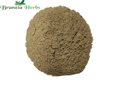 Shikakai Powder – Acacia concinna - Branzia Herbs