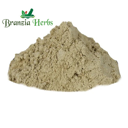 SANJEEVANI BUTI POWDER – LAXMAN BOOTI POWDER – SELAGINELLA BRYOPTERIS - Branzia Herbs