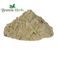 SANJEEVANI BUTI POWDER – LAXMAN BOOTI POWDER – SELAGINELLA BRYOPTERIS - Branzia Herbs