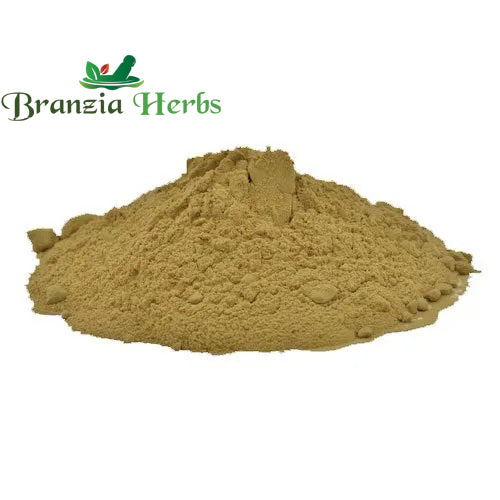 BAHEDA CHILKA POWDER – BAHERA POWDER – TERMINALIA BELERICA - Branzia Herbs