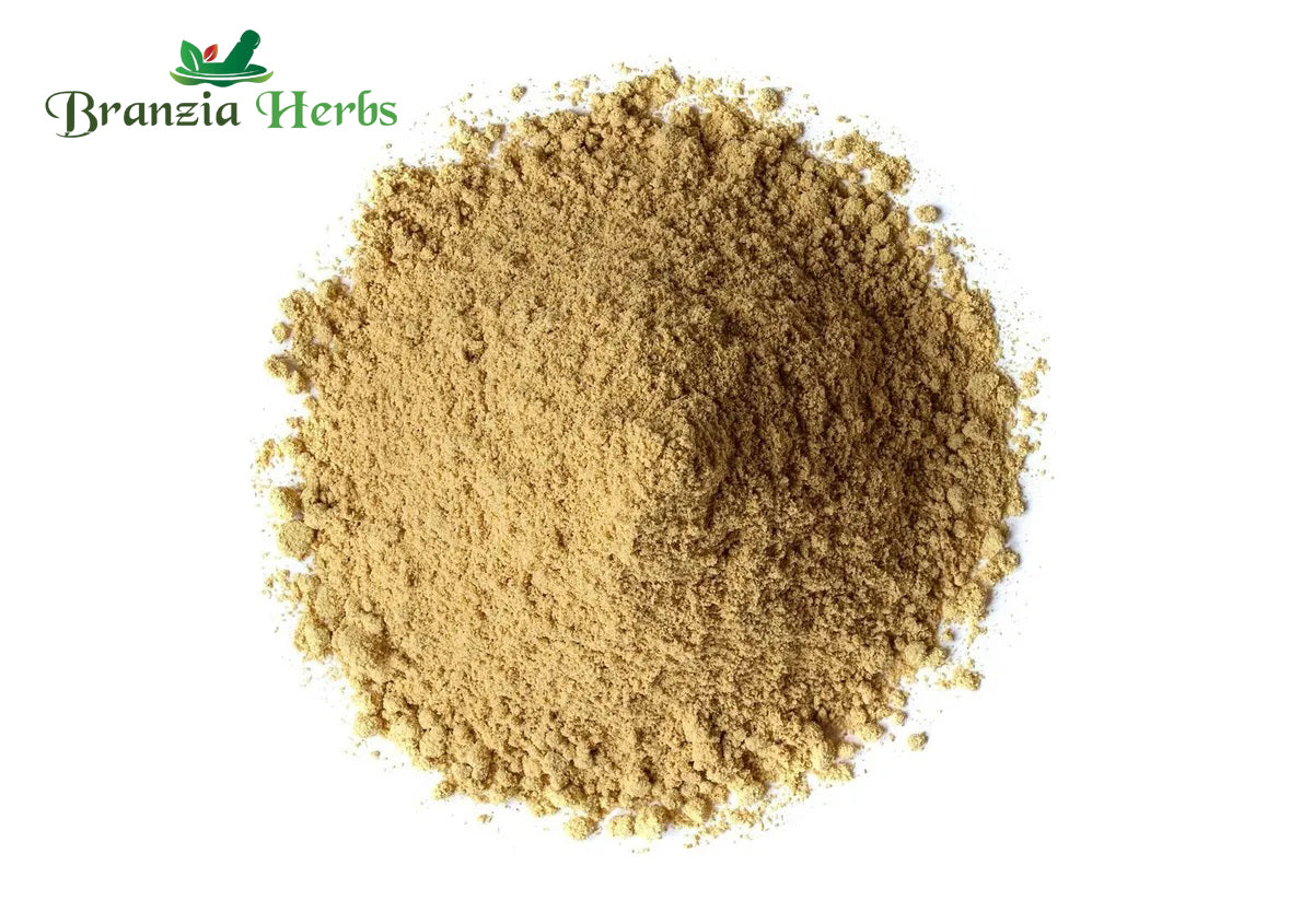 BIDHARA LAKDI POWDER – VIDHARA WOOD POWDER – ELEPHANT CREEPER – ARGYREIA NERVOSA