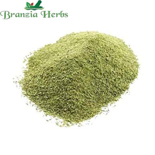 "Parijat Patta Powder - Harshringar Patta - Parijaat Leaves - Nyctanthes Arbor-Tristis " - Branzia Herbs