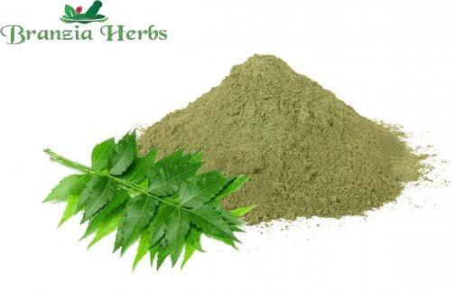 "Neem Powder - Neem Leaves powder - Azadirachta Indica - Neem patti powder " - Branzia Herbs