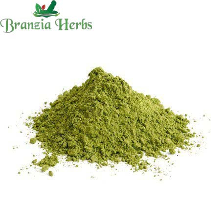 "Moringa Powder - Drumstick - Moringa Oleifera " - Branzia Herbs