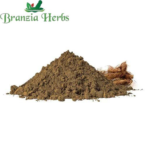 "Jatamansi Powder (Premium) - Baalchadd - Nardostachys Jatamansi - Nard Indian - Tapaswani " - Branzia Herbs