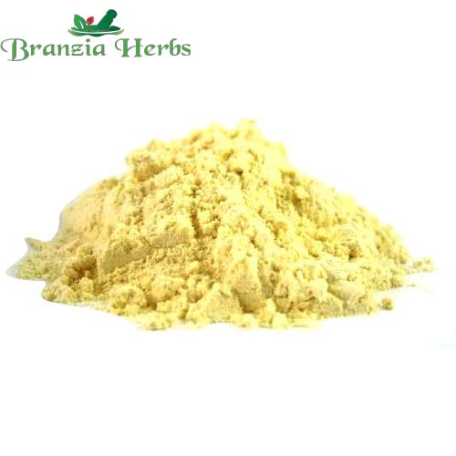 "Sattu Powder - Channa - chickpea - Cicer arietinum - Bengal gram " - Branzia Herbs