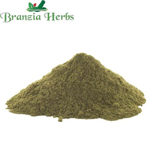 "Nirgundi Powder - Vitex Negundo - Sambhalu " - Branzia Herbs