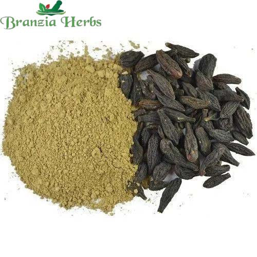 "Haritaki Powder - Harad - Terminalia chebula " - Branzia Herbs