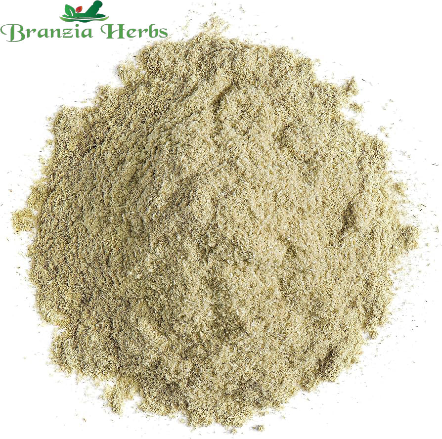 "Wheatgrass Powder - Triticum aestivum " - Branzia Herbs