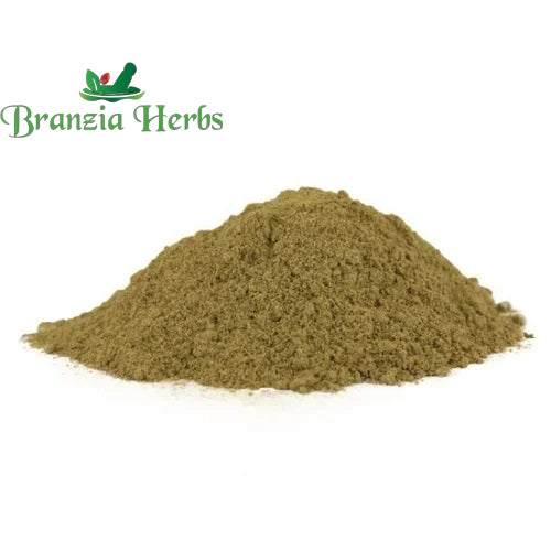 "Bhringraj Powder - Eclipta alba - False daisy " - Branzia Herbs