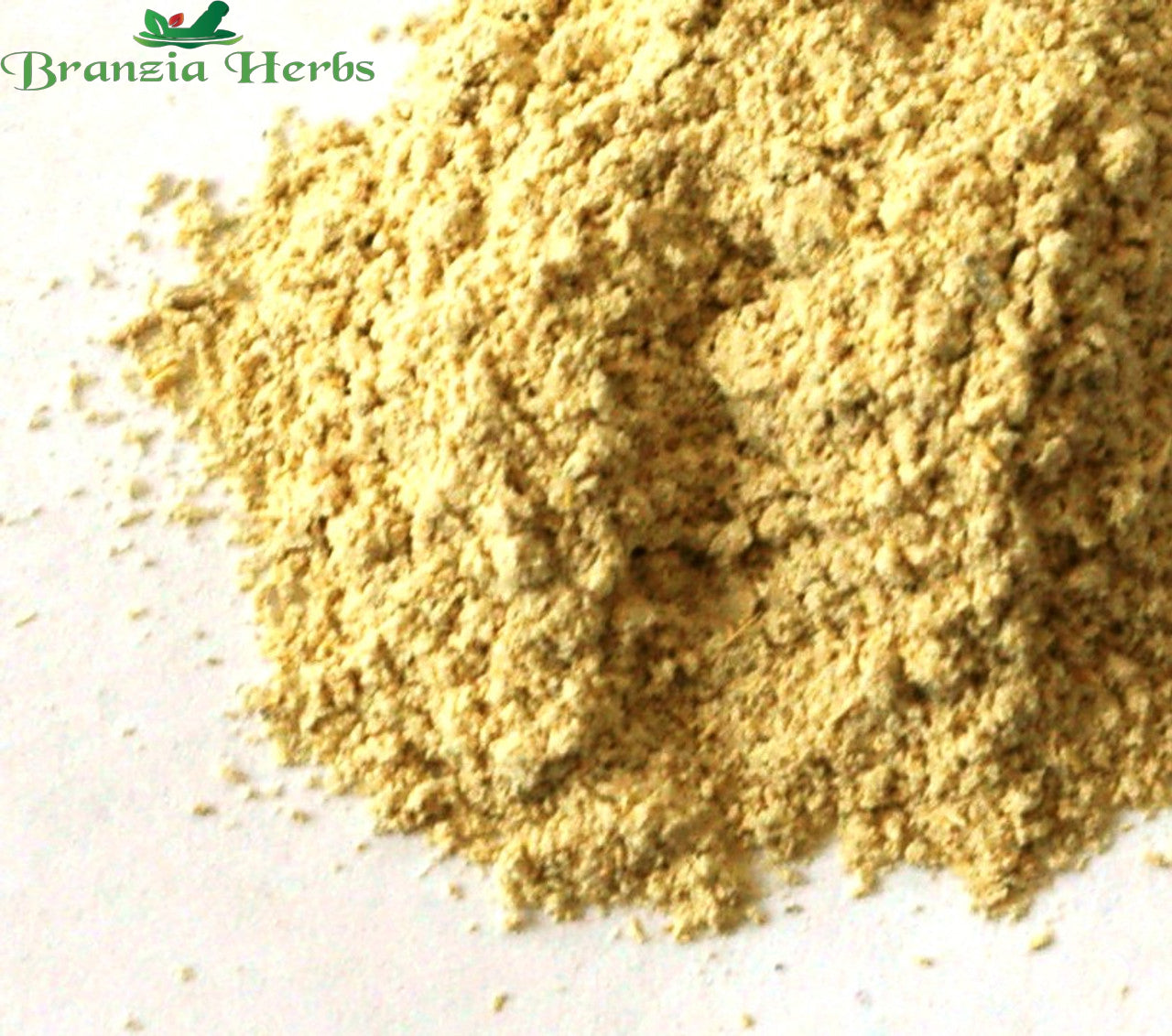 Tongkat Ali Powder - Eurycoma longifolia - Longjack Root - Branzia Herbs