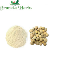 Putrajeevak Powder - Jiya Pota - Putra Jivak- Putranjiva roxburghii - Branzia Herbs