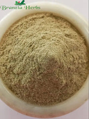 Castor Root Powder - Arand Mool - Ricinus Communes - Branzia Herbs