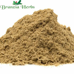 Gorakh Mundi Powder - Sphaeranthus Indicus - East Indian Globe Thistle - Branzia Herbs