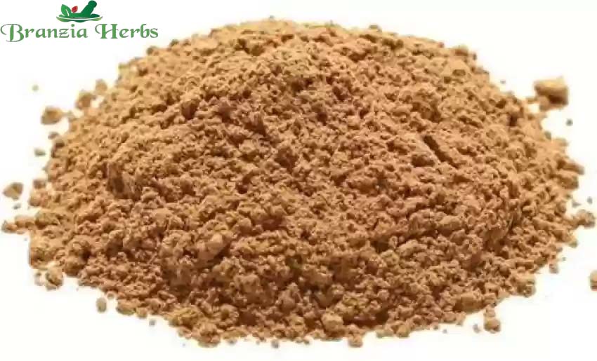Lodh Pathani Powder - Symplocos Racemosa | TheWholesalerCo