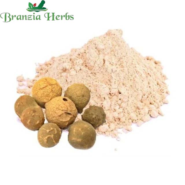 Majuphal Powder - Manjakani - Quercus Infectoria Oliv - Dyer's Oak - Gall Nuts - Branzia Herbs