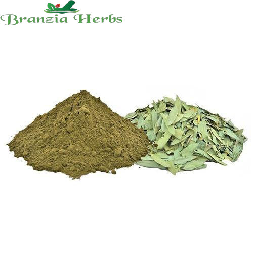 Senna Powder - Sanay Leaves - Cassia Angustifolia - Senna Alexandrina - Branzia Herbs