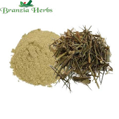 Chiraita Asli Powder - Chirata Nepali - Swertia Chirata - Bitter Stick - Indian Gentian - Branzia Herbs