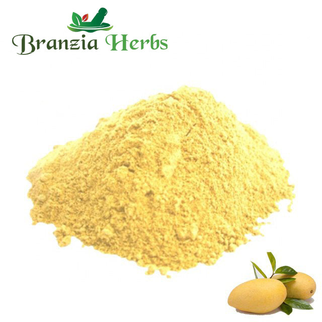 Mango Seeds Powder - Aam Guthli Powder - Mangifera Indica Powder - Branzia Herbs