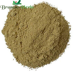 Ajmod, Ajmoda, Wild Celery, Ugragandhika, Apium graveolens POWDER - Branzia Herbs