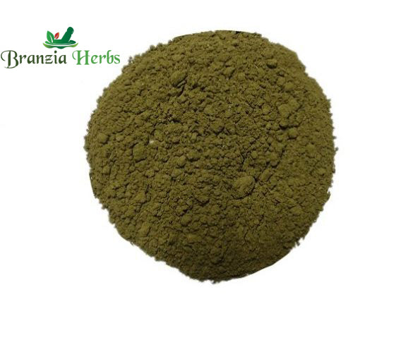 Ardushi Powder – Vasa Powder – Adhatoda vasica - Branzia Herbs