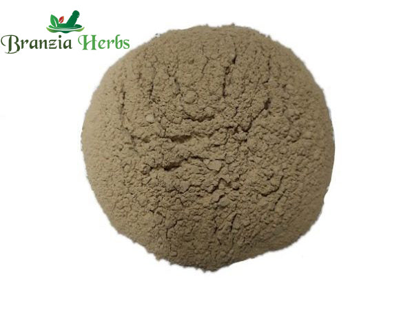 Aritha Powder – Reetha Powder – Soapnut-Acacia concinna - Branzia Herbs