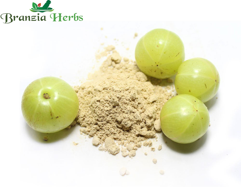 Awla Powder - Amla - Phyllanthus Emblica - Indian Gooseberry - Branzia Herbs