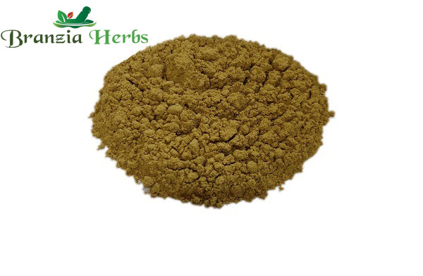 Baheda Powder – Bedda nuts – Terminalia bellirica