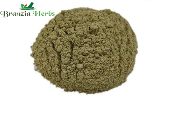 Bala Root Powder - Balamoola - Sida cordifolia - Branzia Herbs