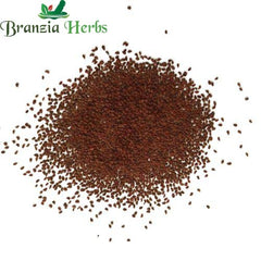 "Celery Seeds | Herb Seeds " - Branzia Herbs