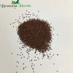 "Oregano Herb Seeds " - Branzia Herbs