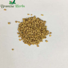 "Ashwagandha Indian Ginseng Herb Seeds " - Branzia Herbs