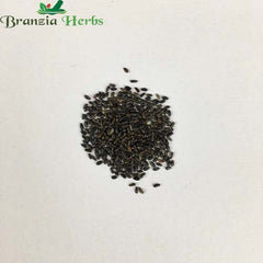 "Lemon Balm Herb Seeds " - Branzia Herbs