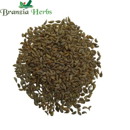 "Parsley Herb Seeds " - Branzia Herbs