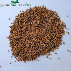 "Henna Mehandi Plant Seeds | Herb Seeds " - Branzia Herbs