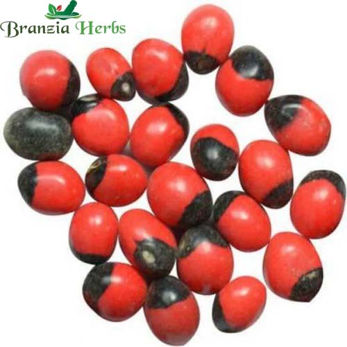 "Red Gunja Seeds Chirmi Gurinvida Beads Ratti Gumchi | Herb Seeds " - Branzia Herbs