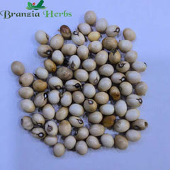 "Gunja Safed White Gunja | Abrus Precatorius White Chirmi | Herb Seeds " - Branzia Herbs