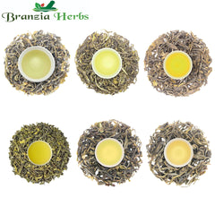 "6 Exotic Green Tea Sample Pack | New First Flush Green Teas 2024 " - Branzia Herbs