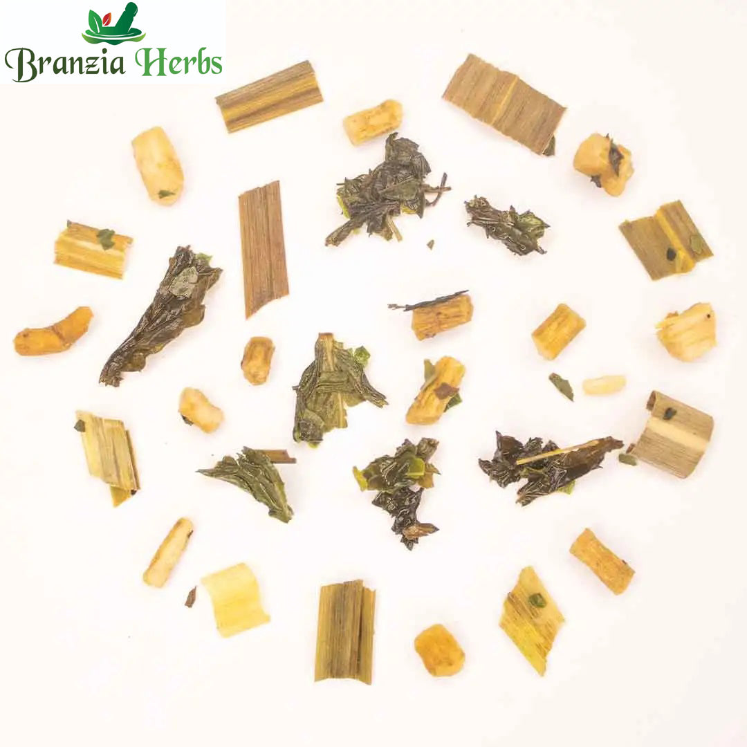 "Moringa Green Tea – Immunity Boost Tea " - Branzia Herbs